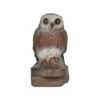 Bearpaw Franzbogen 3D Target - Little Owl
